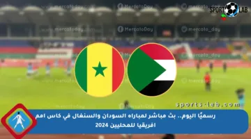 رسميًا اليوم.. بث مباشر لمباراة السودان والسنغال في كأس أمم إفريقيا للمحليين 2024